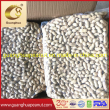 Hot Sale New Crop Roasted and Salted Peanut in Shell Healthy Delicous Luhua Haihua